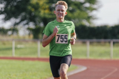 reduziert-_-155