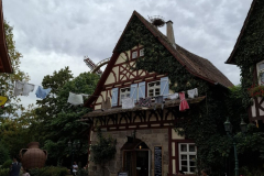 IMG-20260920-WA0023