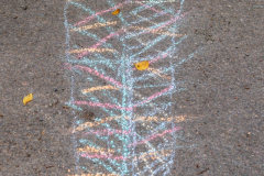 DSC_5173