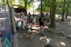 IMG_20260805_111431